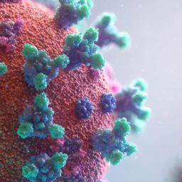 epidemie